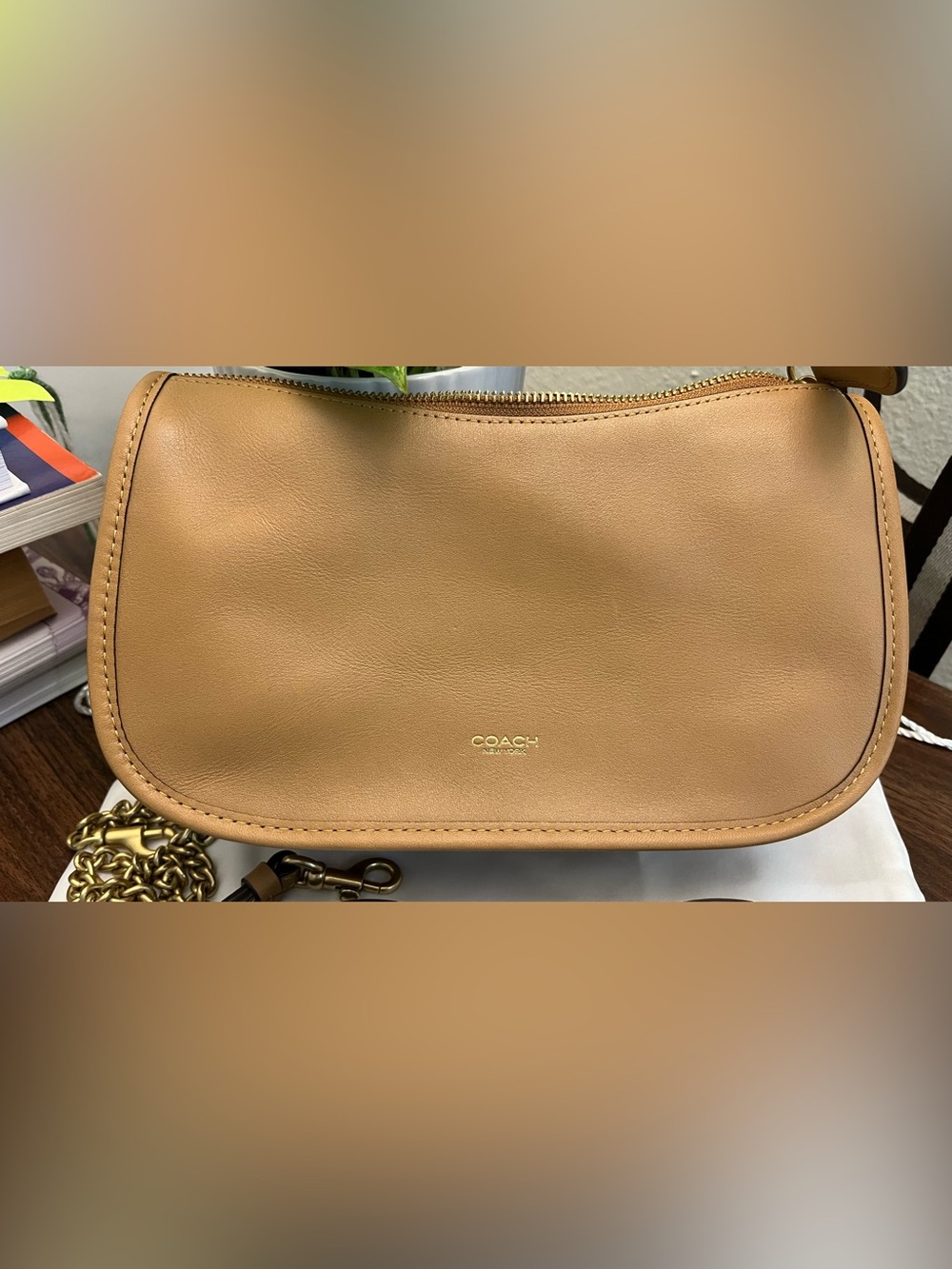Coach Waverly Honey Brown - Picture 2 of 10